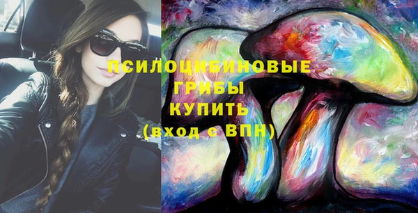 МДПВ Бугульма