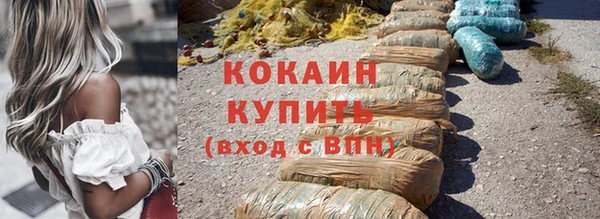 тгк Бородино