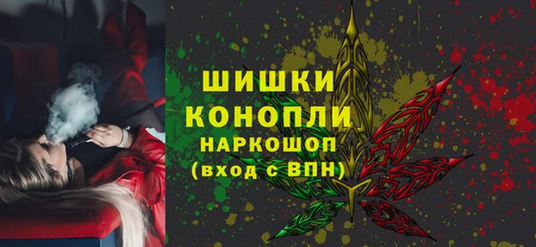 тгк Бородино