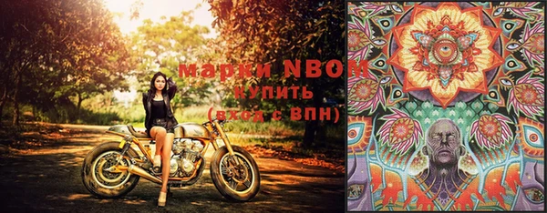 тгк Бородино