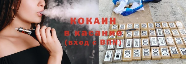 тгк Бородино