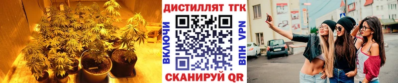 Дистиллят ТГК концентрат  маркетплейс официальный сайт  Екатеринбург 