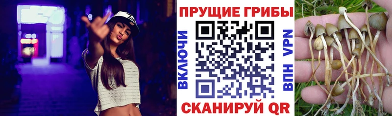 Галлюциногенные грибы прущие грибы  Екатеринбург 